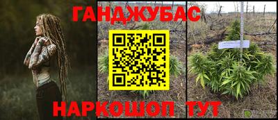 трава Гусиноозёрск